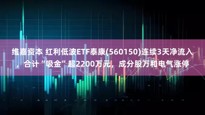 维嘉资本 红利低波ETF泰康(560150)连续3天净流入，合计“吸金”超2200万元，成分股万和电气涨停